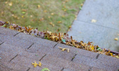 Dirty roof with gutter with leaves requiring cleaning