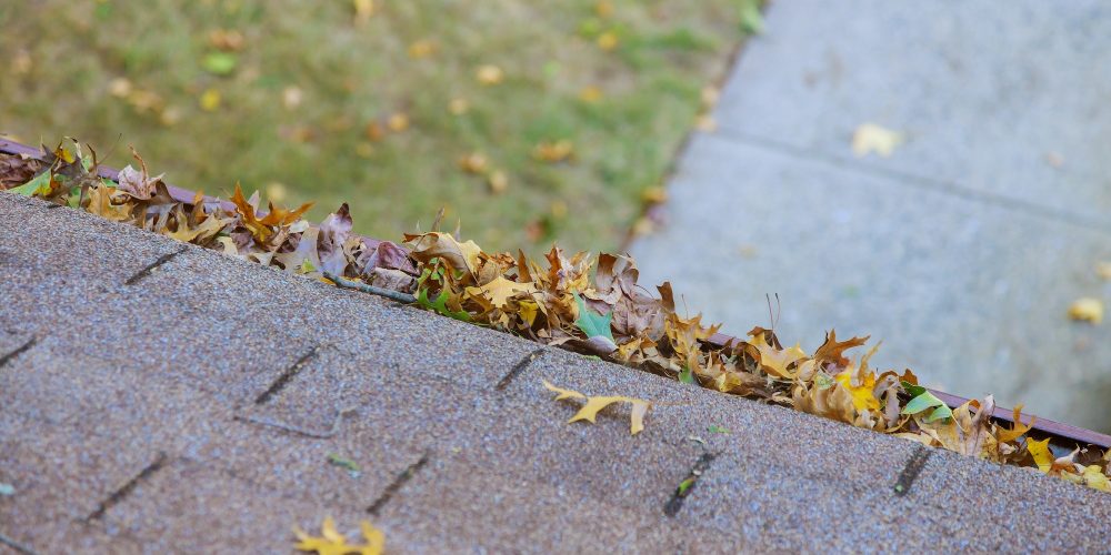 Dirty roof with gutter with leaves requiring cleaning