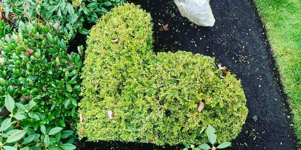 trimming design